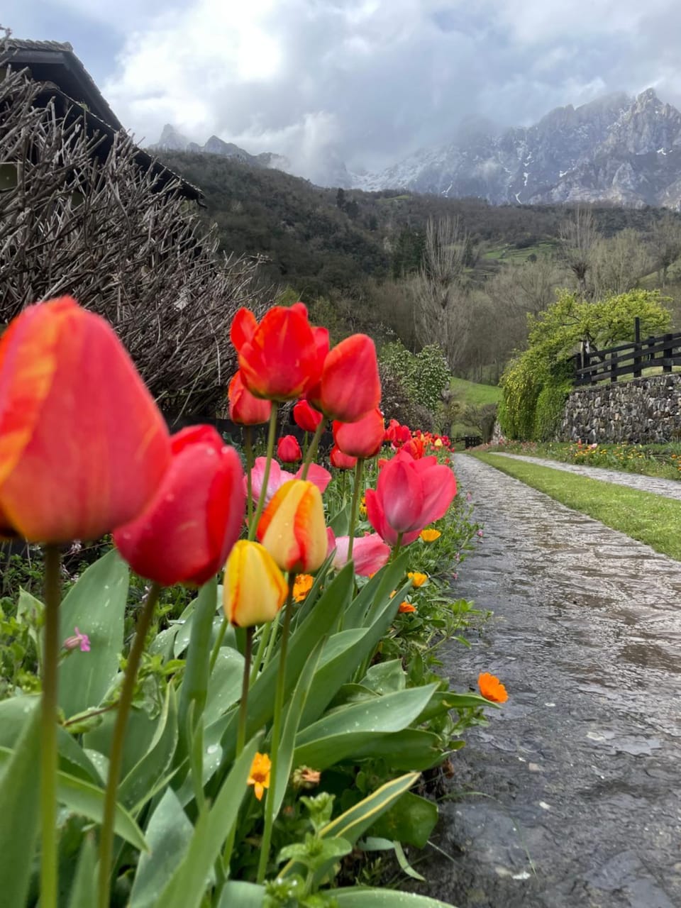 Spring, Mountain view