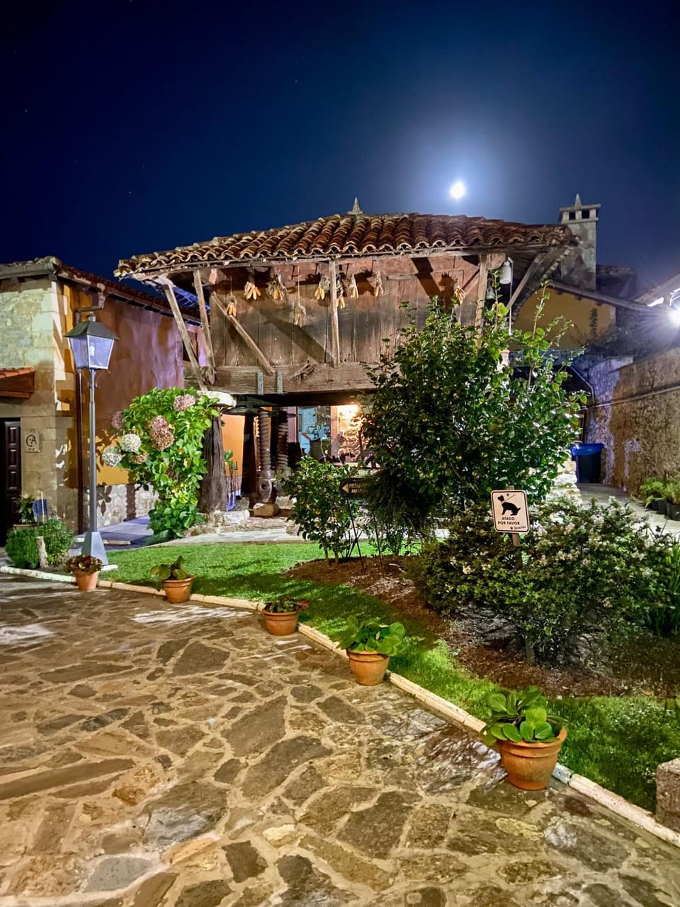 Property building, Night, Garden