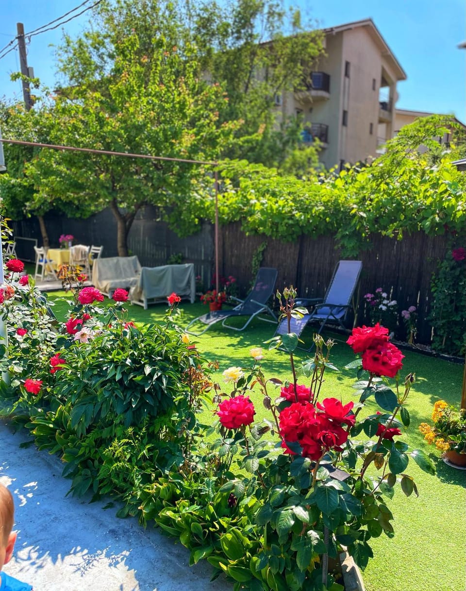 Garden, Garden view