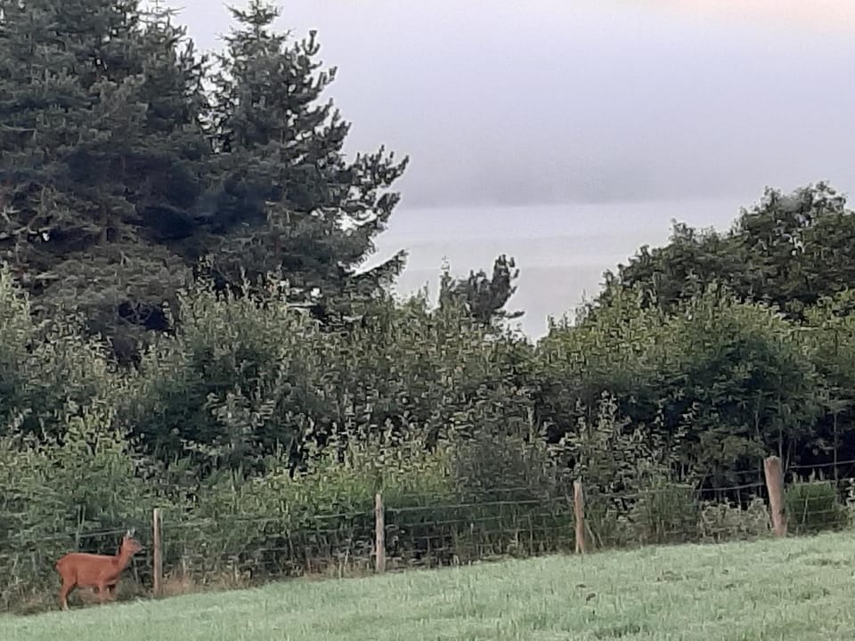 High March Bed and Breakfast in Scotland