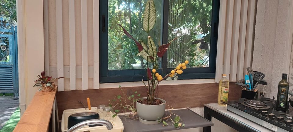 Communal kitchen, kitchen