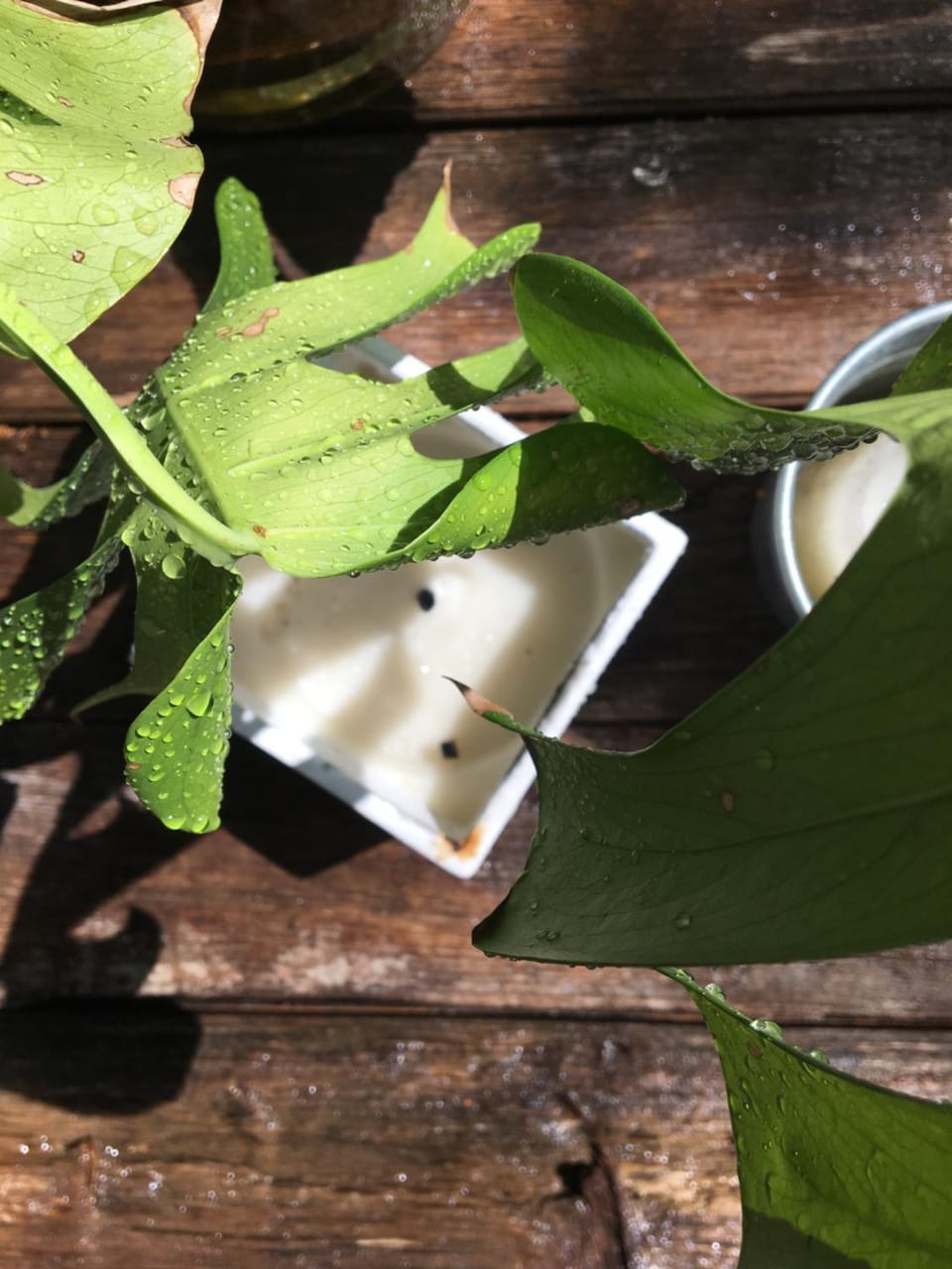 Casa Sisto House in Capannori