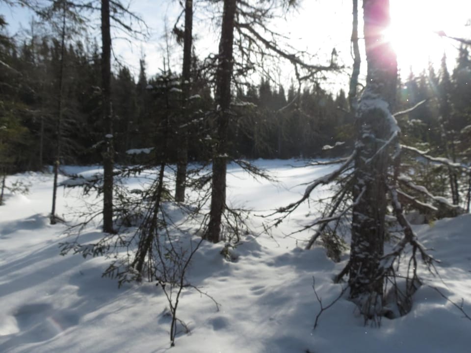 Natural landscape