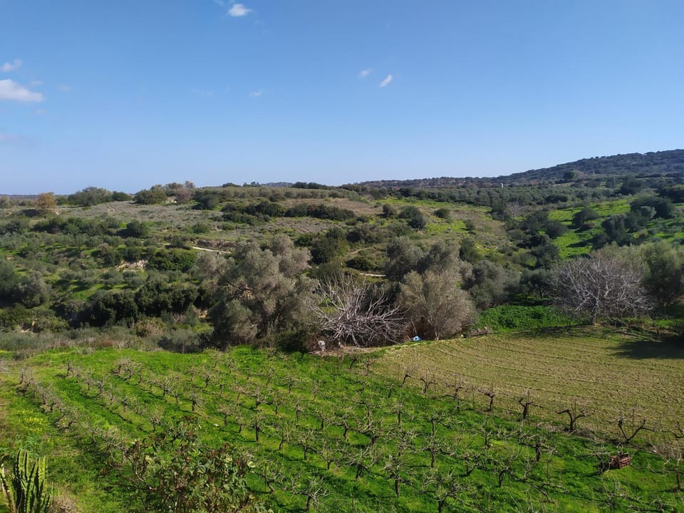 Natural landscape, Hiking, Mountain view