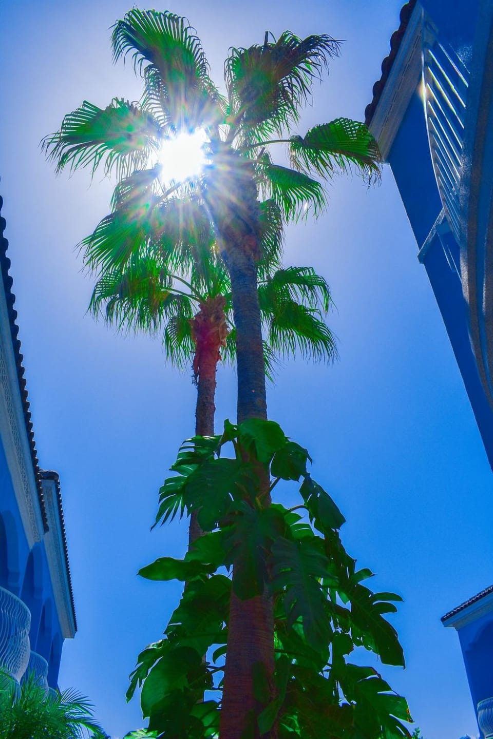 Inner courtyard view