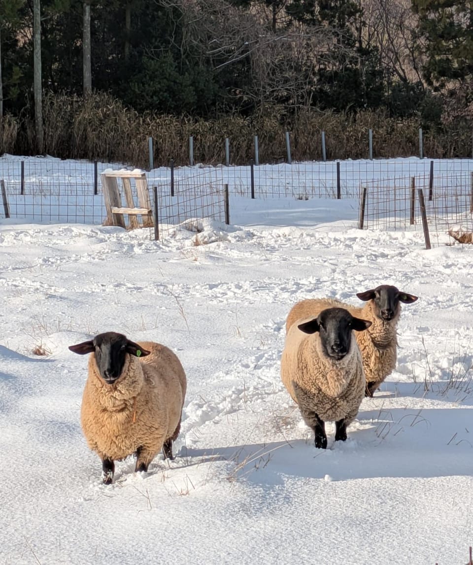 Auberge Fujii Fermier Farm Stay in Japan