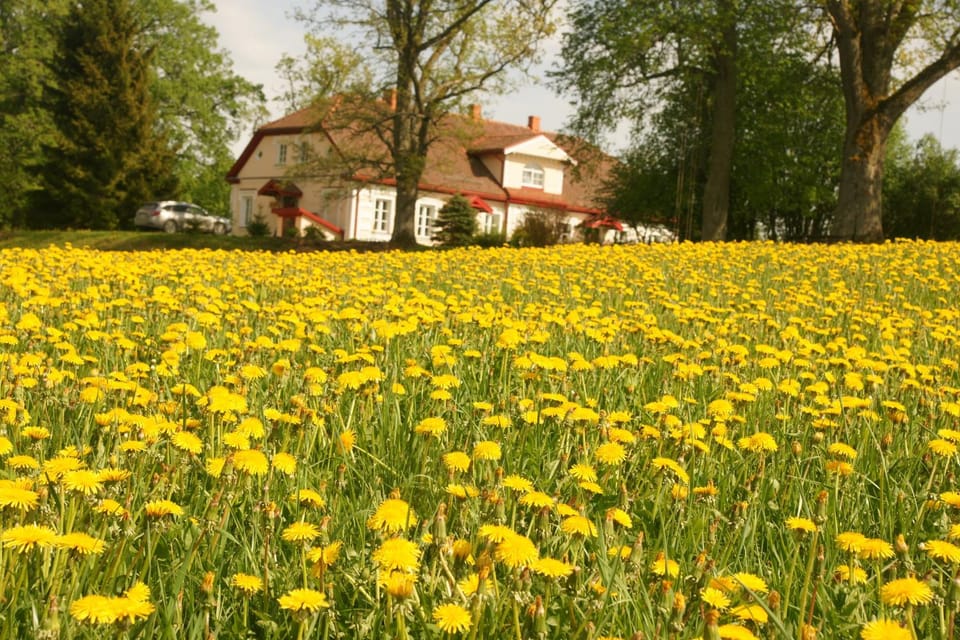Bear Manor Lāču Muižiņa Vacation rental in Estonia