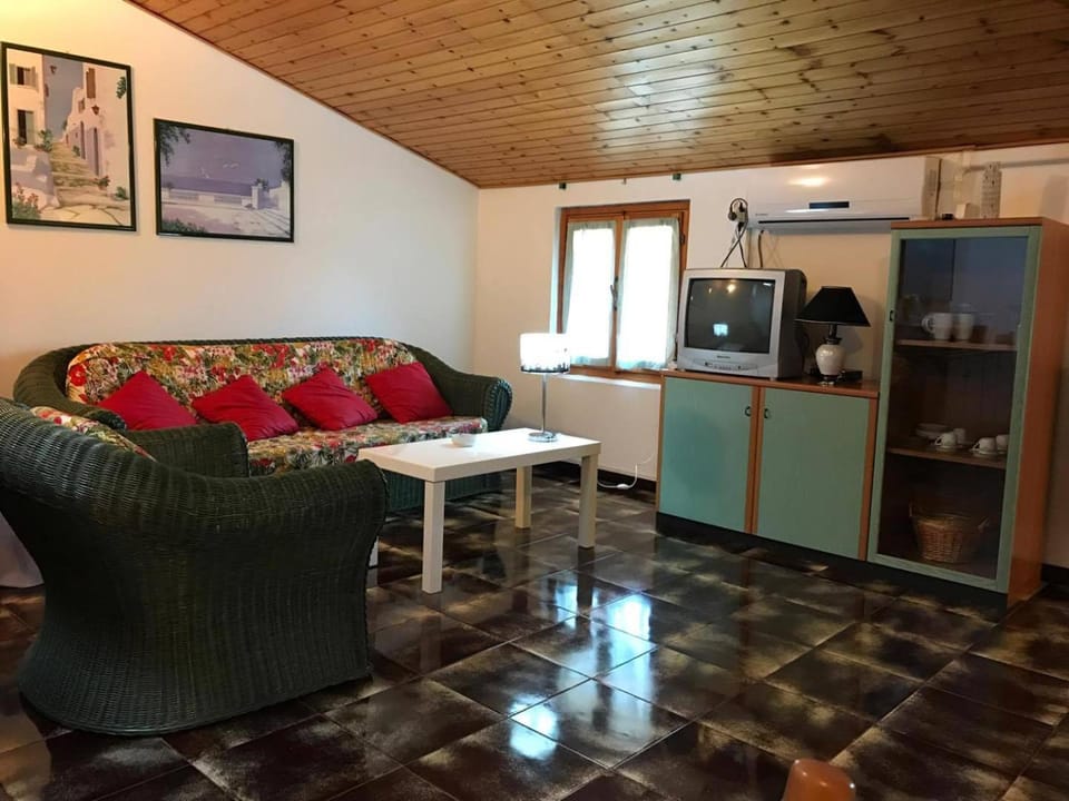 TV and multimedia, Kitchen or kitchenette, Living room, Seating area, Dining area, minibar, oven, air conditioner