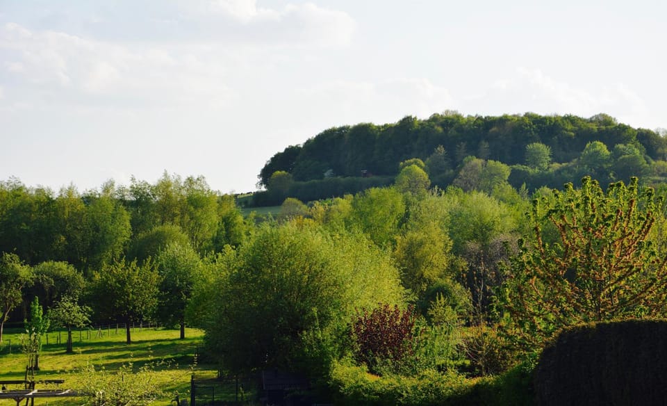 Natural landscape, Garden, Garden view, Mountain view