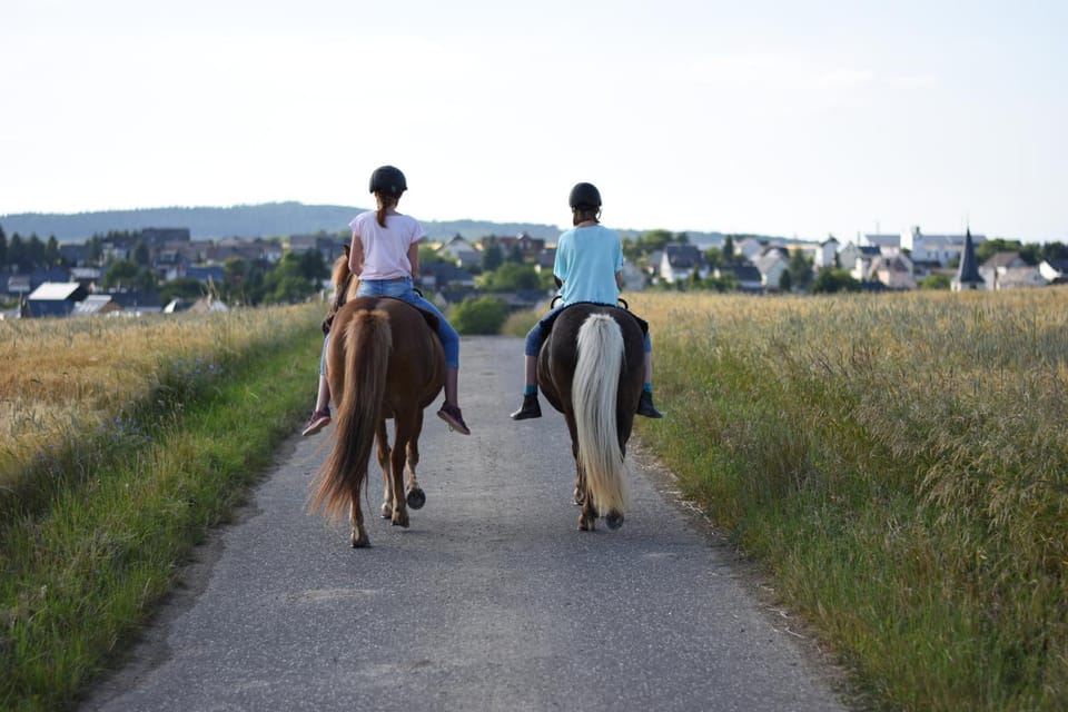 Natural landscape, Horse-riding, Animals