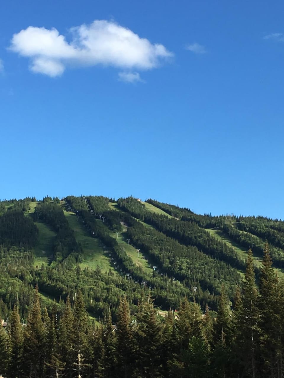 Chalet du Versant Nord Chalet in Quebec