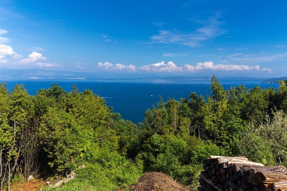 The View Studio Moscenice Apartment in Primorje-Gorski Kotar County
