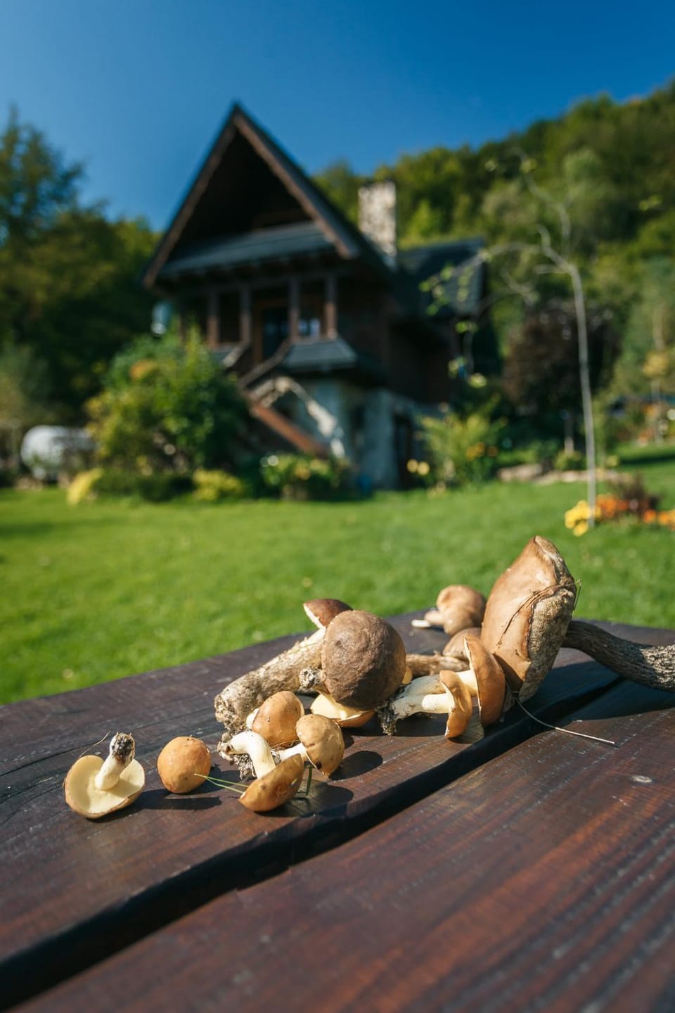 Garden, Garden view