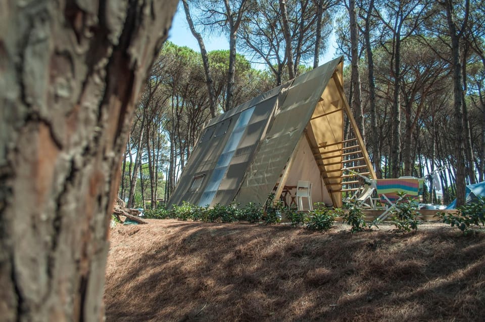 Property building, Day, Natural landscape, Garden, Garden view