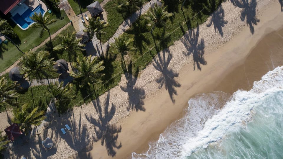 Bird's eye view, Garden, Beach, Garden view, Sea view
