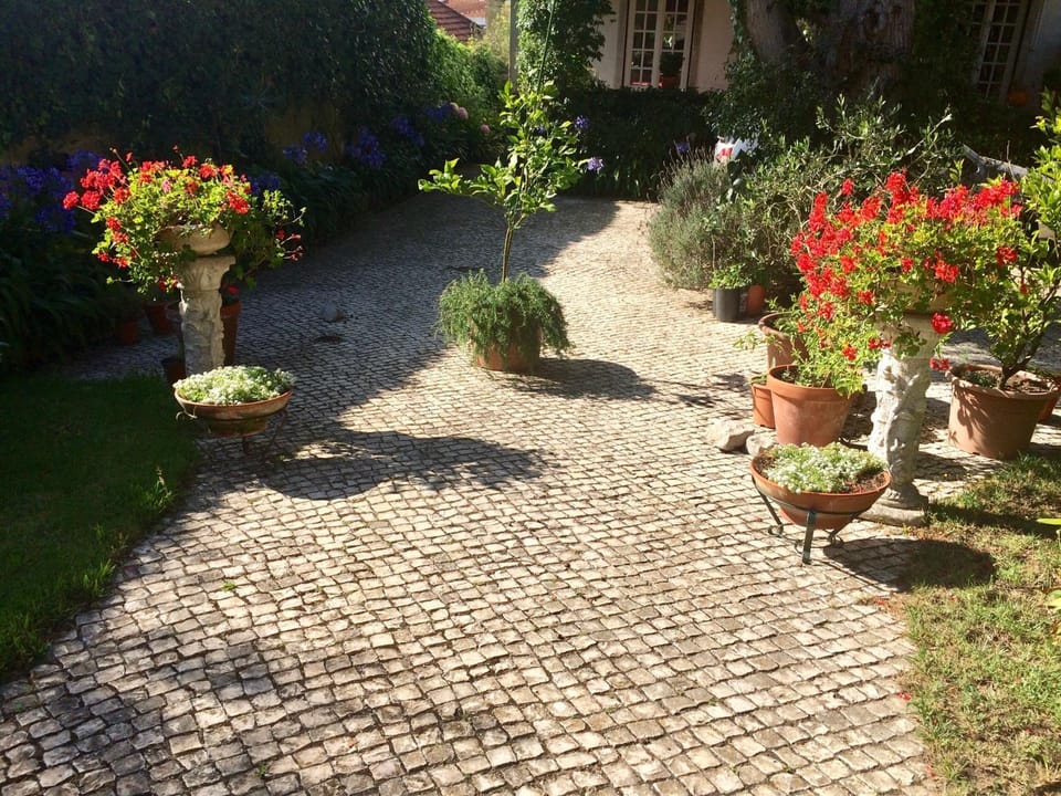 Property building, Garden, Garden view