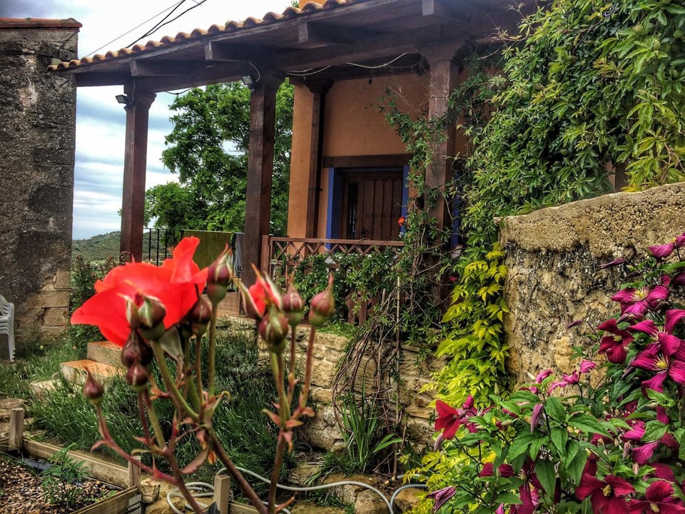 Garden, Garden