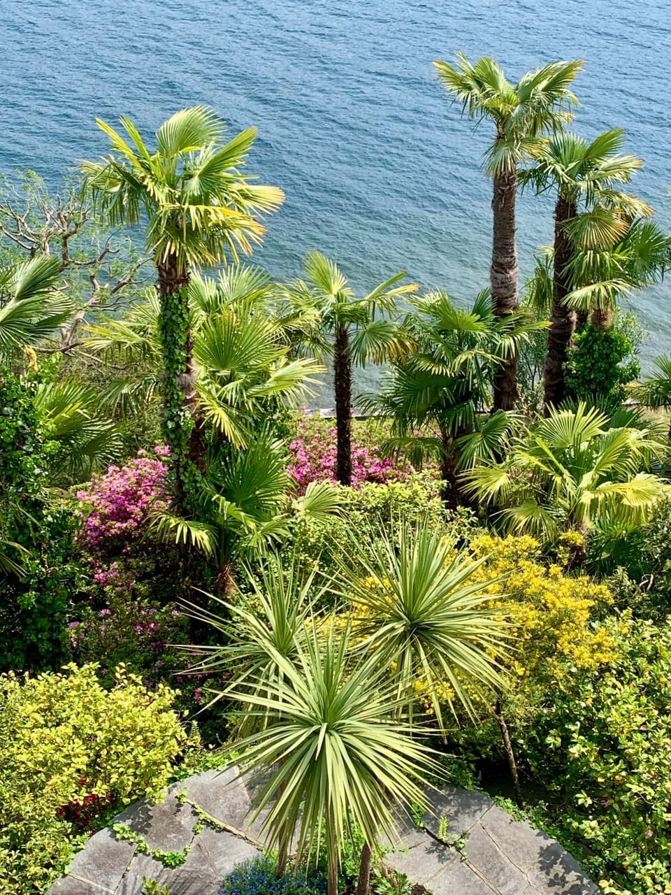 Day, Garden, Garden view