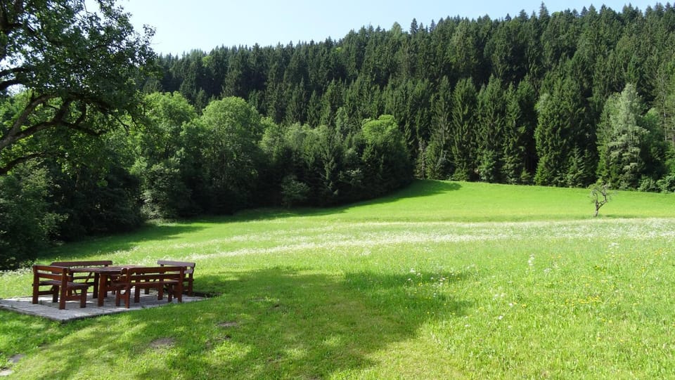 BBQ facilities