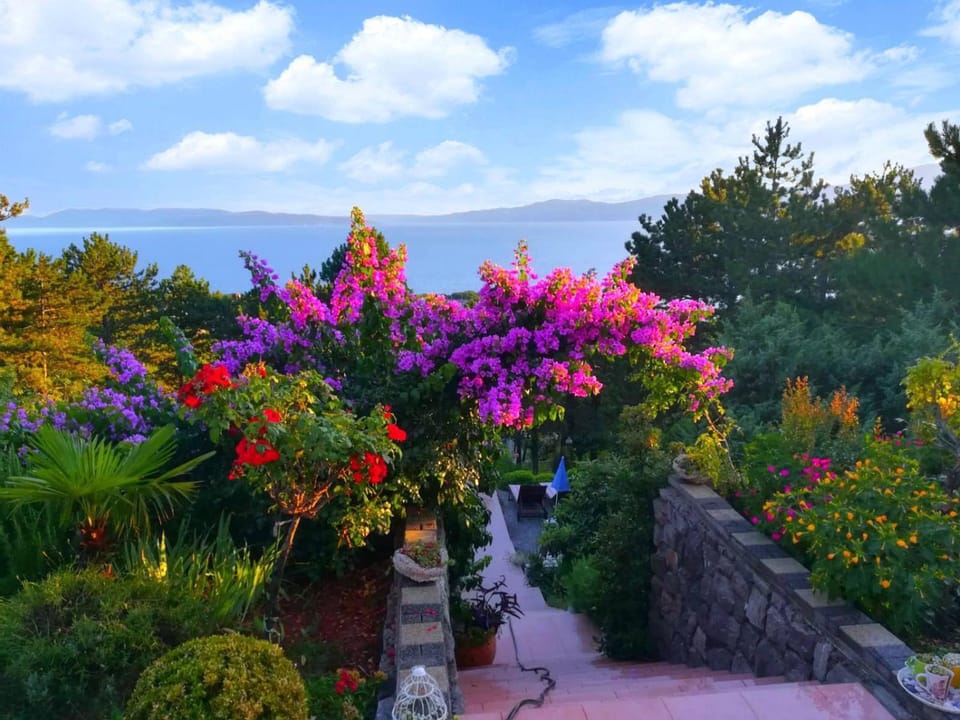 Natural landscape, Garden