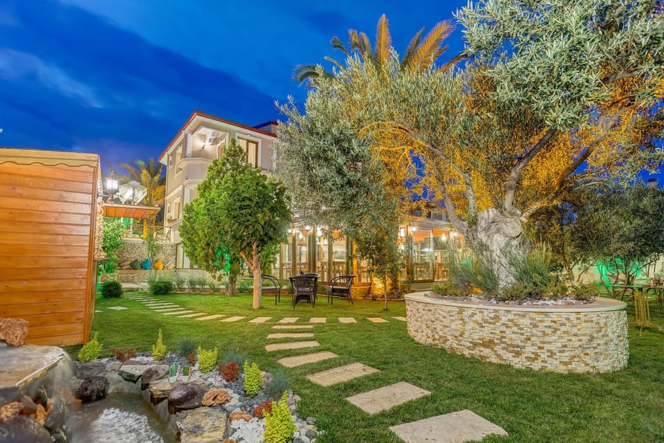 Night, Garden, Garden view