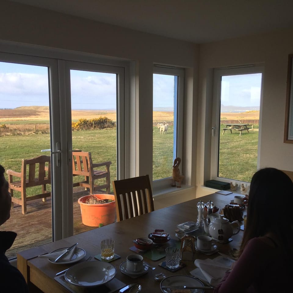 Garden view