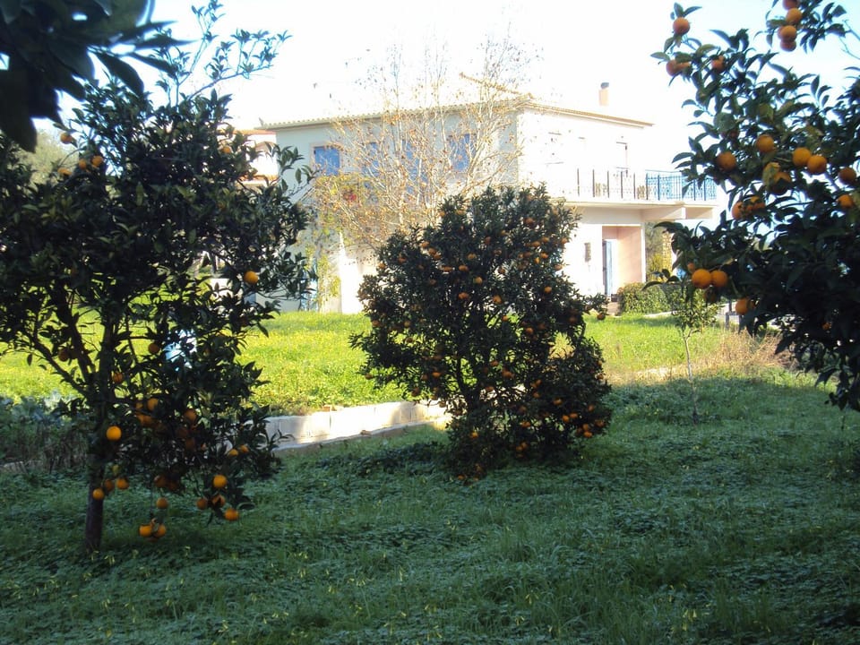 Villa Nostos Apartment in Messenia