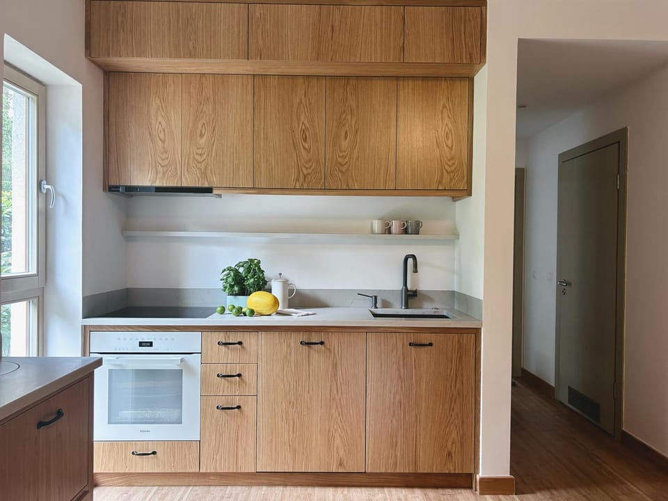 dishwasher, stove, kitchen