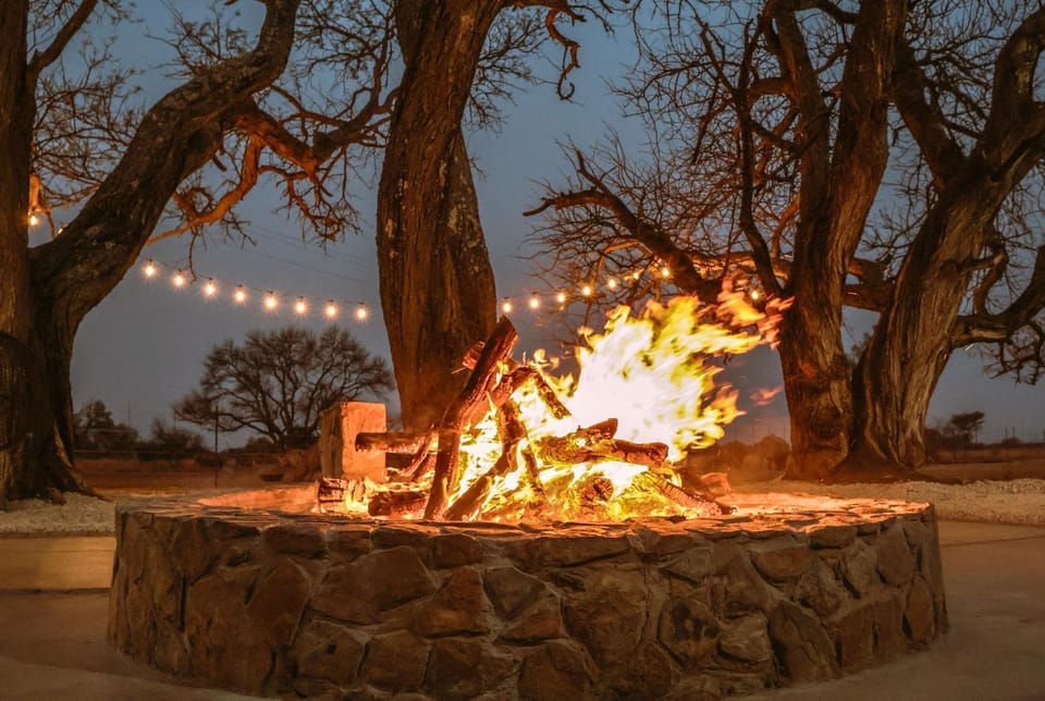 Buffalo Thorn Tree Lodge - Nearby Sun City Nature lodge in North West, South Africa