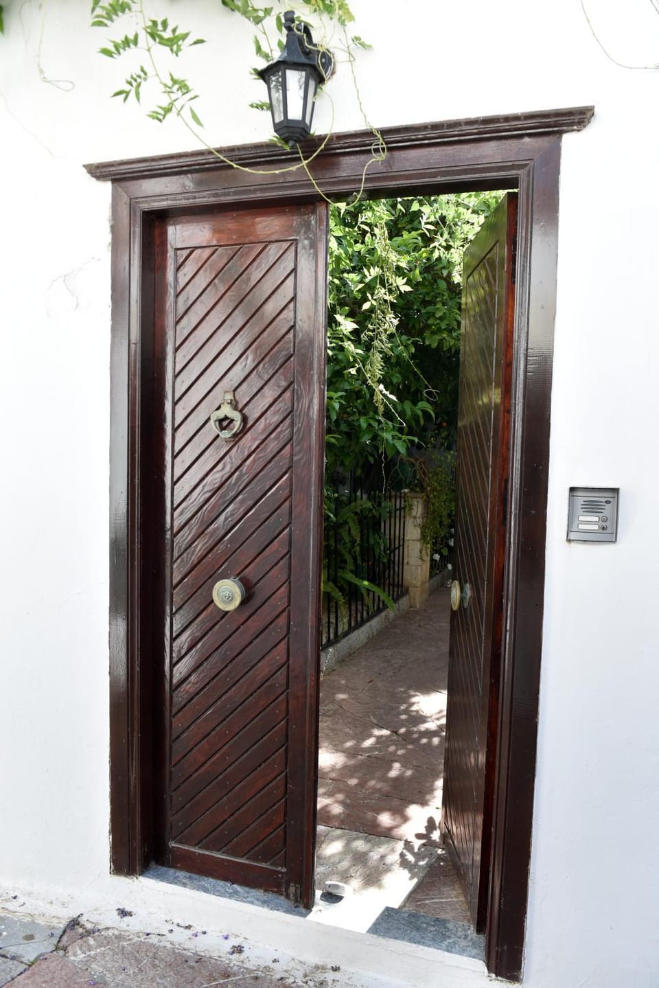 Amaryllis Guest House House in Islands