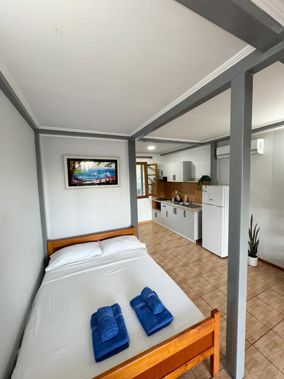 Bed, TV and multimedia, Kitchen or kitchenette, Photo of the whole room, Bedroom, towels