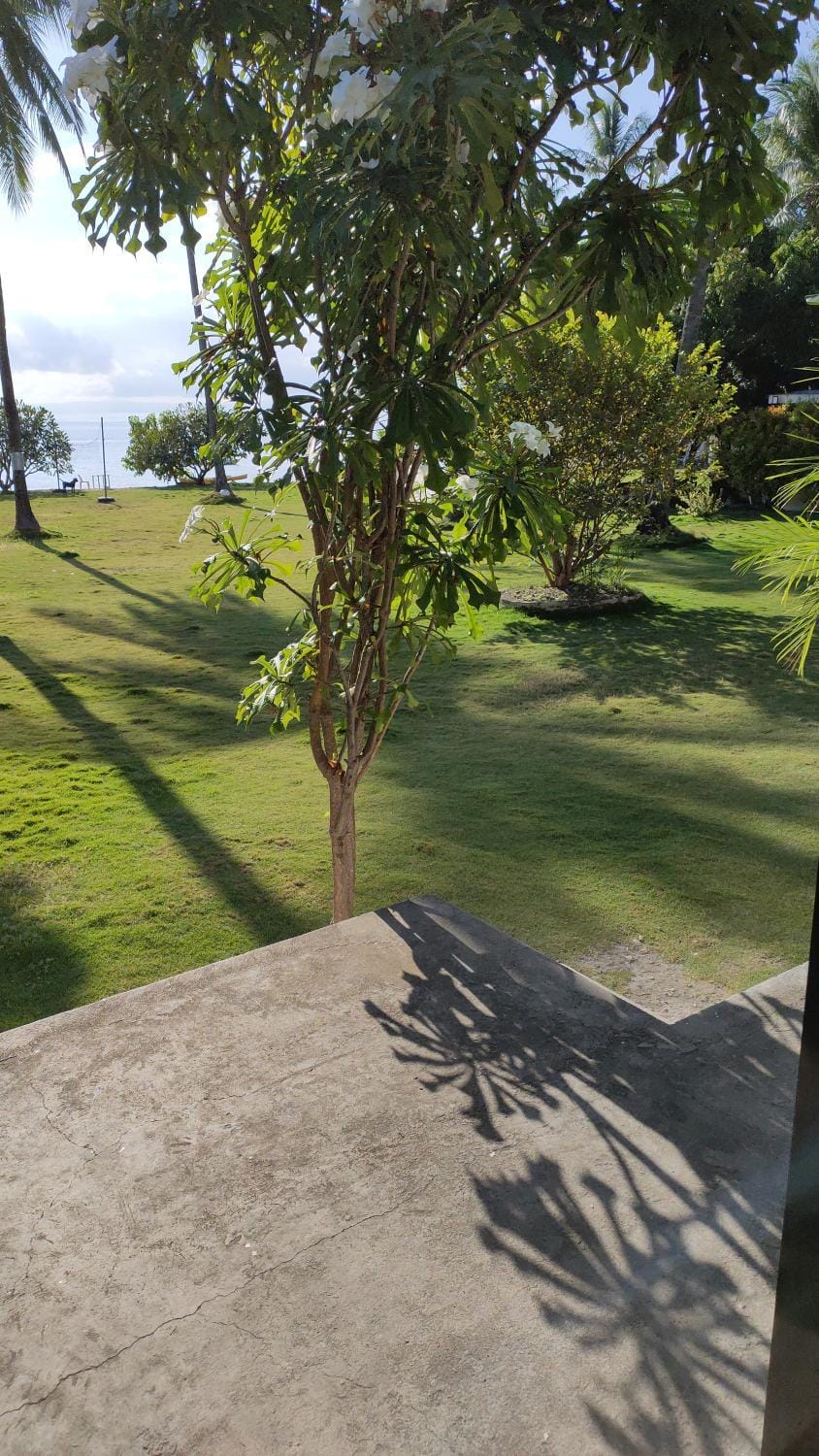 Garden, Garden view