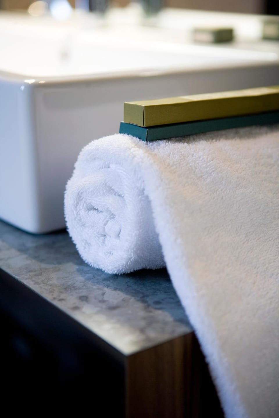 Hotel Restaurant Spa Ivan Vautier Hotel in Caen