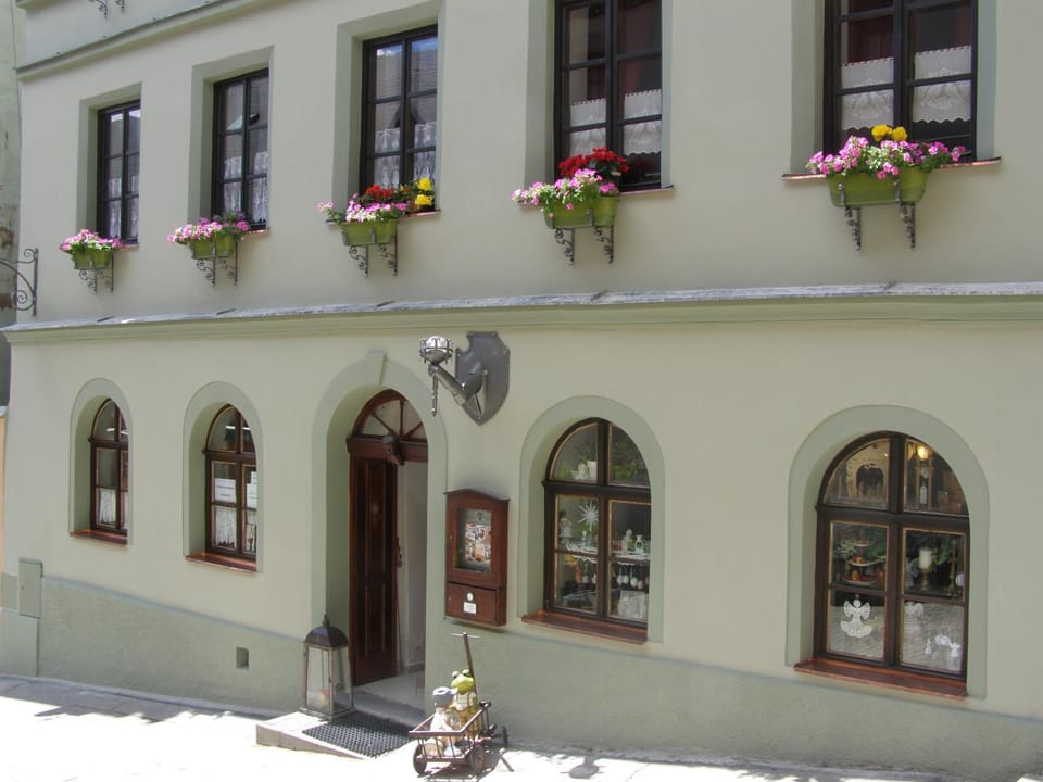 Penzion U Fridy Bed and Breakfast in Saxony