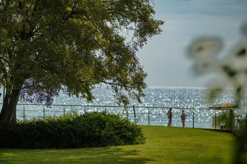 Garden, Sea view