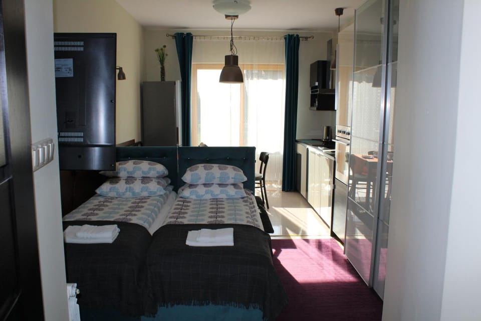 Bed, TV and multimedia, Kitchen or kitchenette, Living room, Photo of the whole room, Seating area, Bedroom, wardrobe