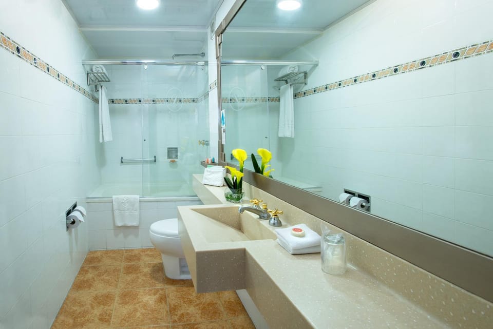 Toilet, Bathroom, towels
