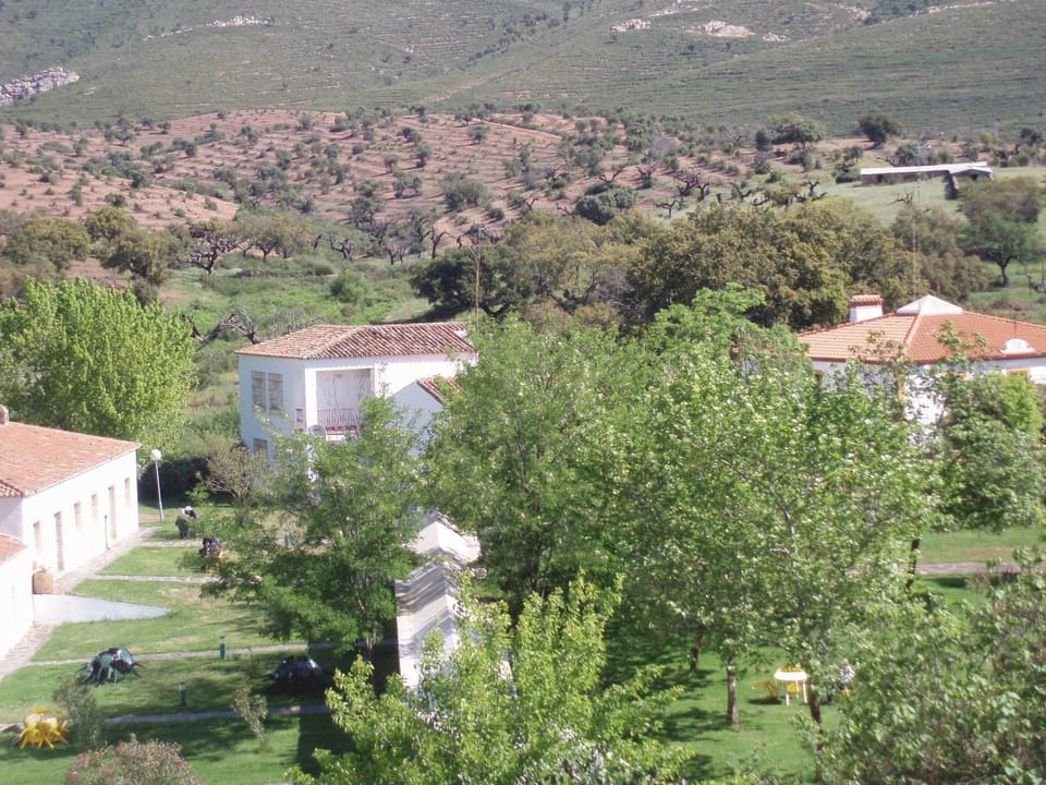 Natural landscape, Bird's eye view, Area and facilities