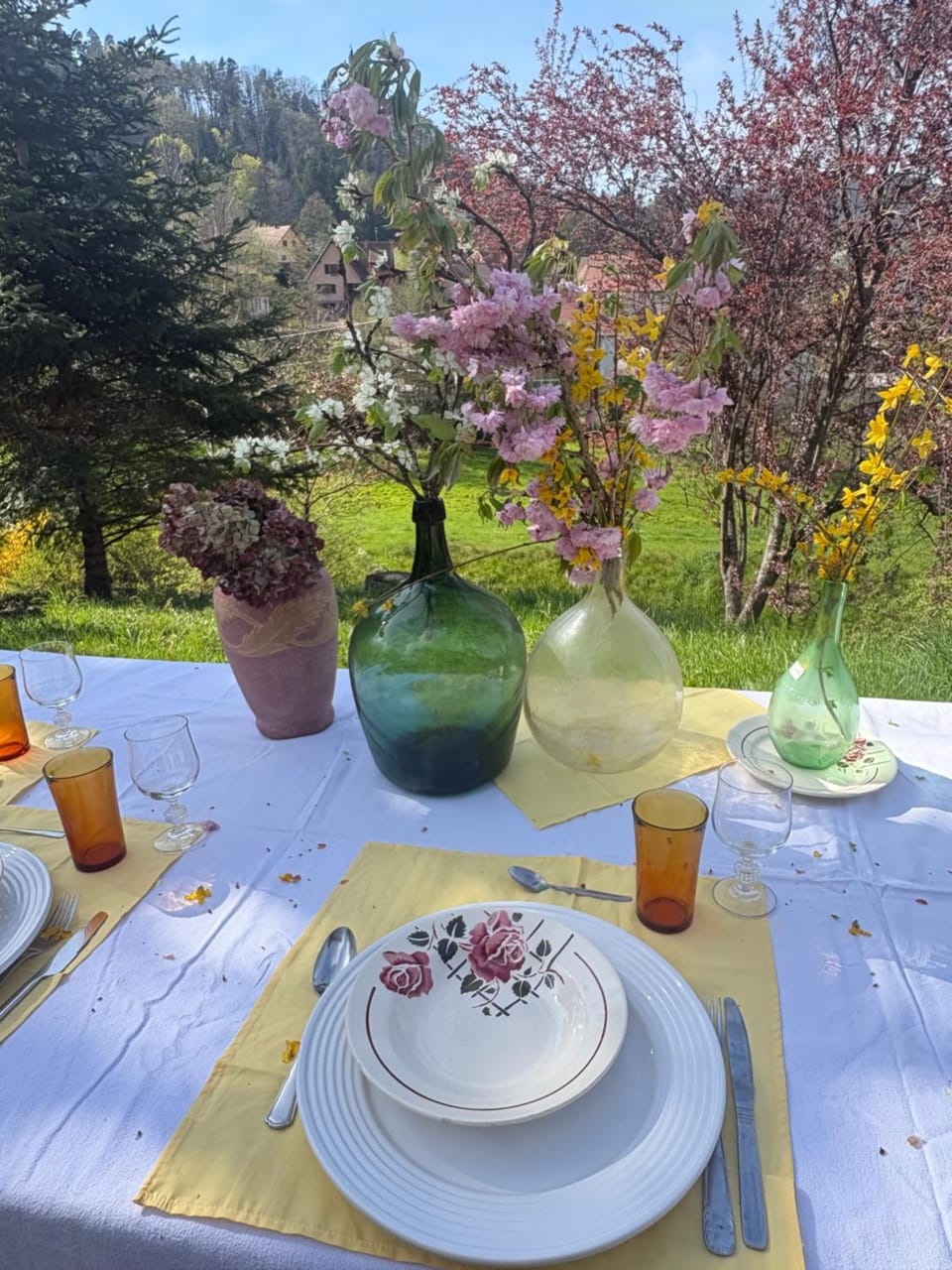 Les Cerisiers House in Grand Est