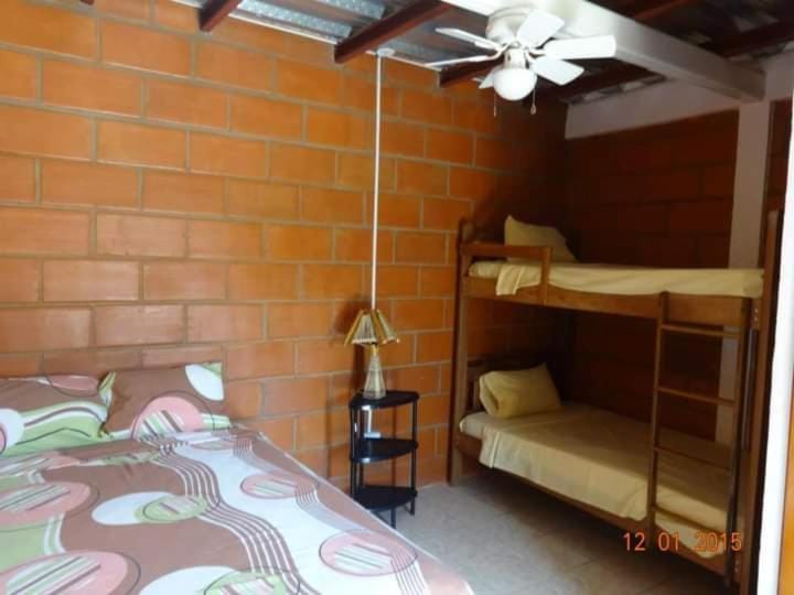 Bed, Photo of the whole room, bunk bed