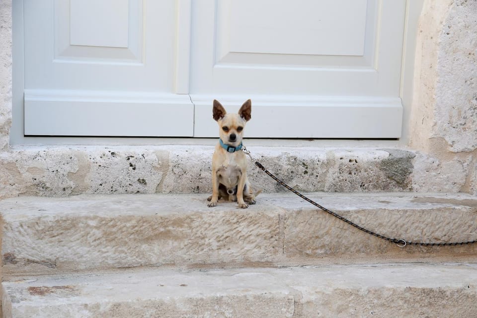 History Hvar 1529 Bed and Breakfast in Hvar