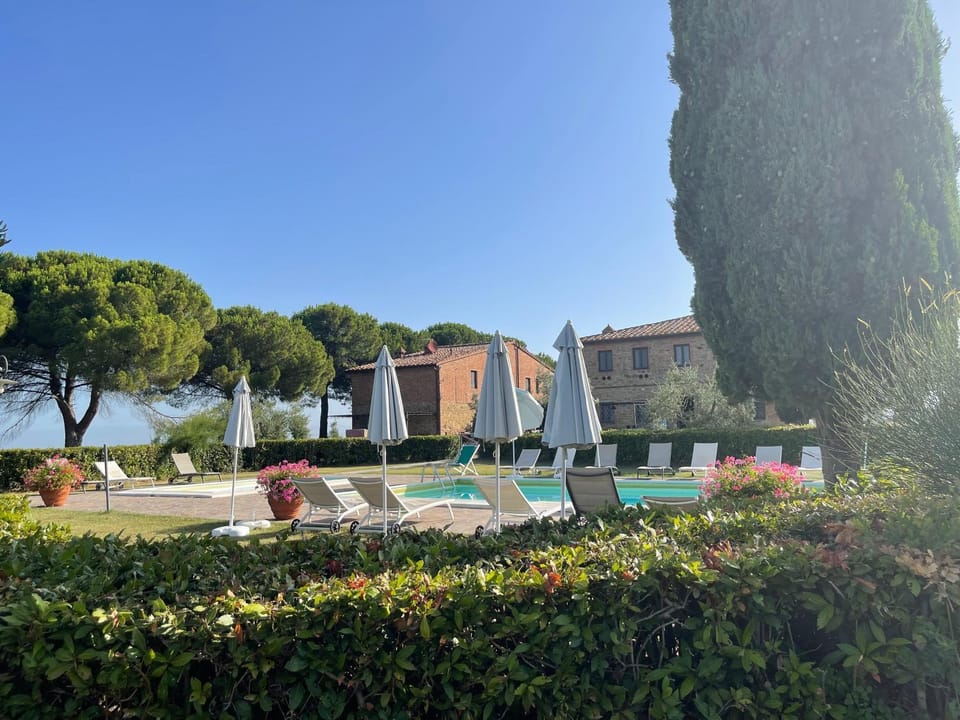 Natural landscape, Garden, Swimming pool