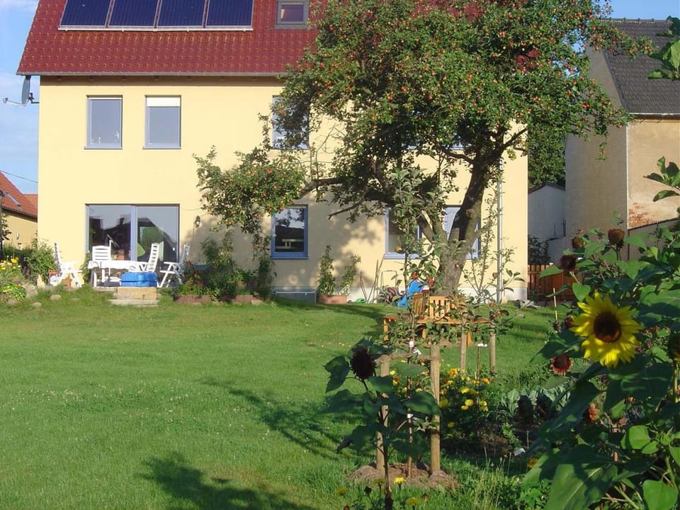 Property building, Spring, Garden, Garden view