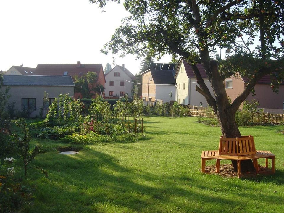 Spring, Natural landscape, Garden, Garden view