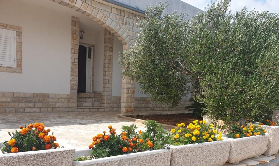 Property building, Facade/entrance, Neighbourhood, Garden