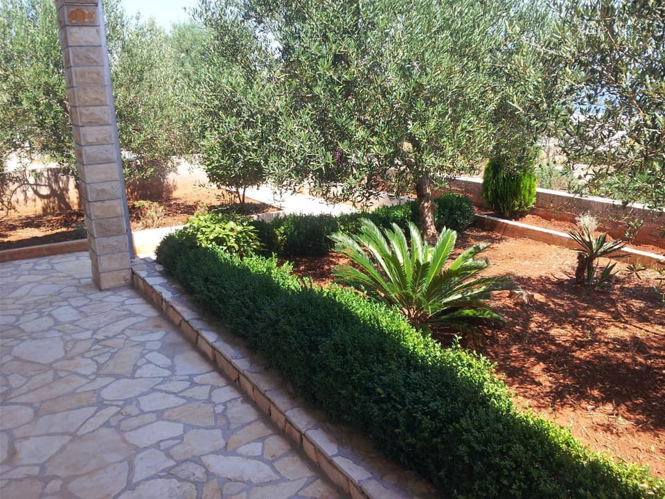 Garden, Sea view