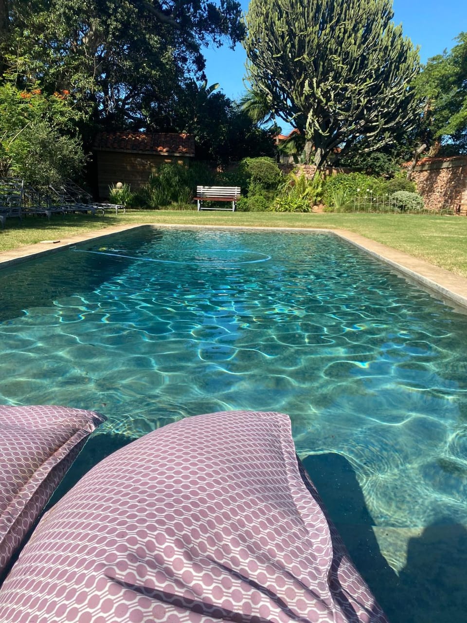 Garden, Swimming pool