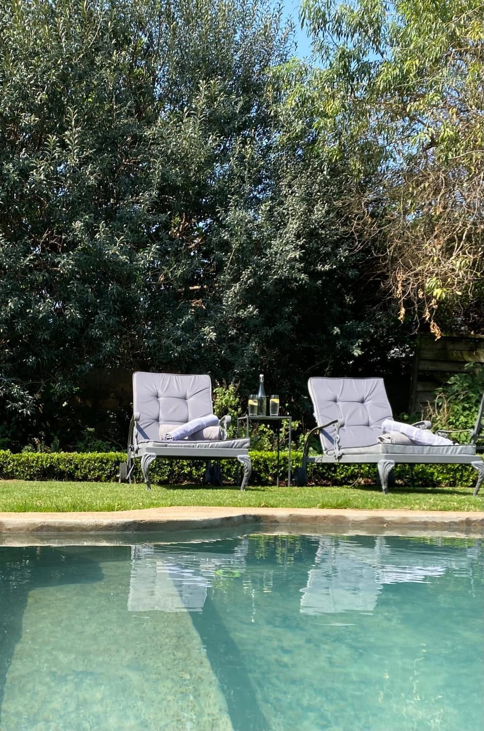 Garden, Pool view, Swimming pool