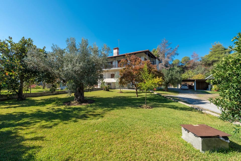 Property building, Day, Summer, Garden