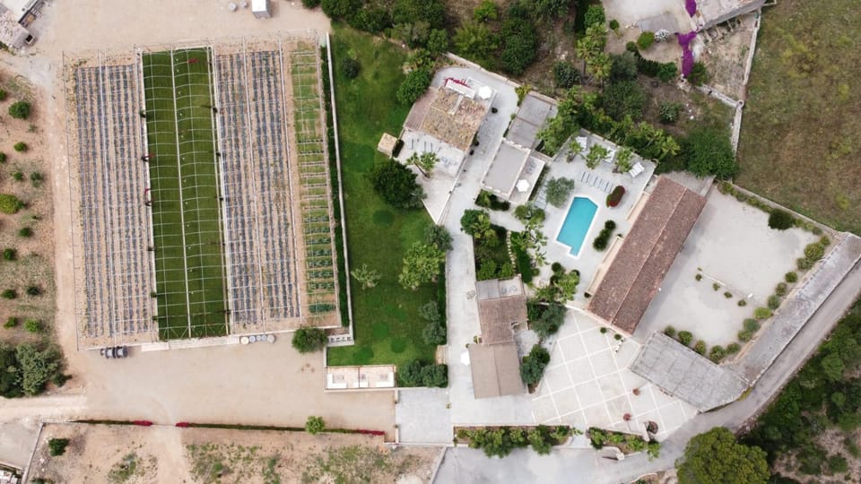 Bird's eye view, Garden